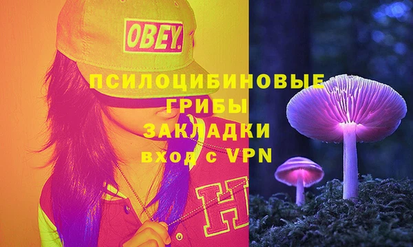 эйфоретик Елабуга