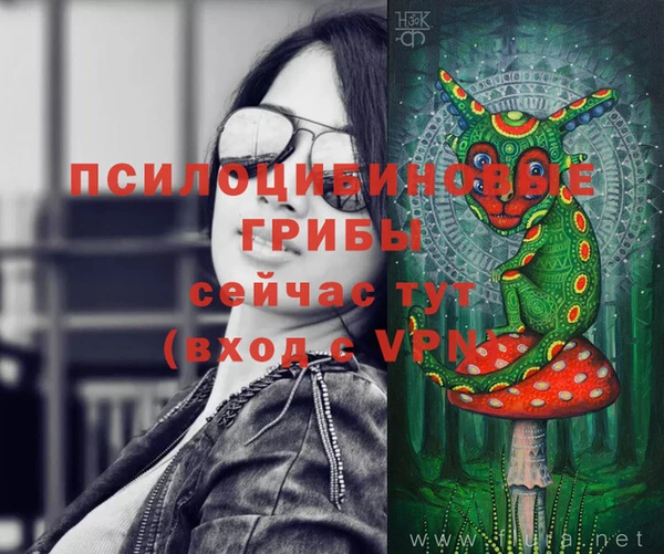 эйфоретик Елабуга
