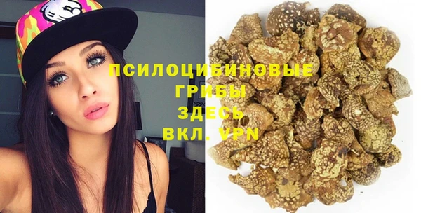 соль ск Елизово
