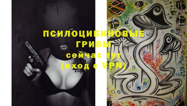 эйфоретик Елабуга