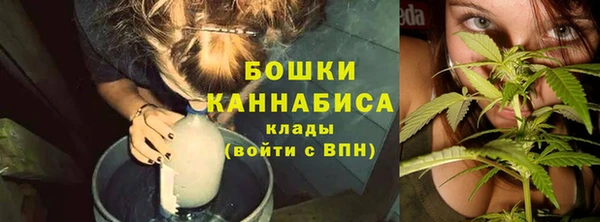 соль ск Елизово